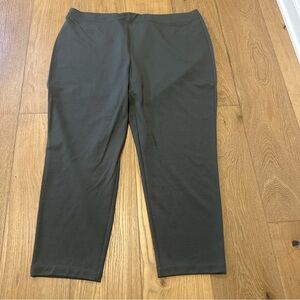 Eileen Fisher Pant Women's S Stretch size 2X